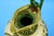Vintage Ceramic Jug by Giotto Giannoni, 1920s For Sale - Image 12 of 18
