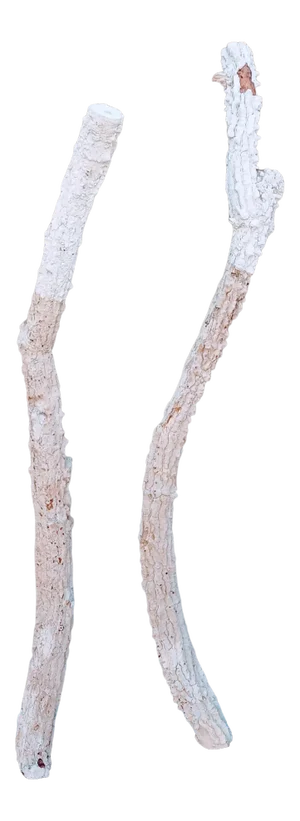 Extra Tall Organic Coastal Tree Limb Branch Sculptures Art Statues on Steel Base- a Pair