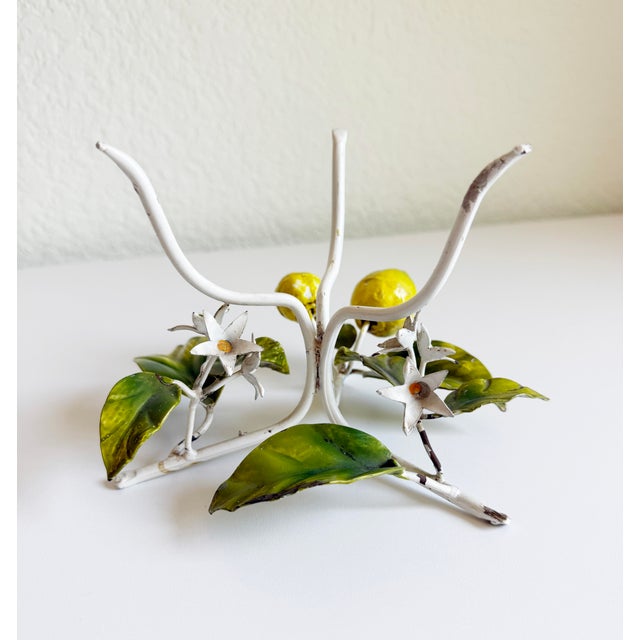1950s Italian Toleware Hurricane Candle Holder With Lemon Tree Accents For Sale In Sacramento - Image 6 of 9