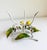 1950s Italian Toleware Hurricane Candle Holder With Lemon Tree Accents For Sale In Sacramento - Image 6 of 9