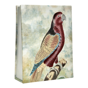 Vintage Porcelain Vase With Birds or Parrots by John Derian