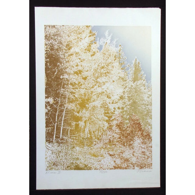 Impressionist Paula Crane "Alma Ii" Signed Numbered Artwork Etching of Forest, Trees For Sale - Image 3 of 7