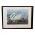 John James Audubon Birds of America Collection Common American Swan Original Print, Signed For Sale