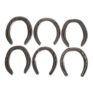 Refinished Sanded & Clear Coated Horseshoes - Set of 6 For Sale
