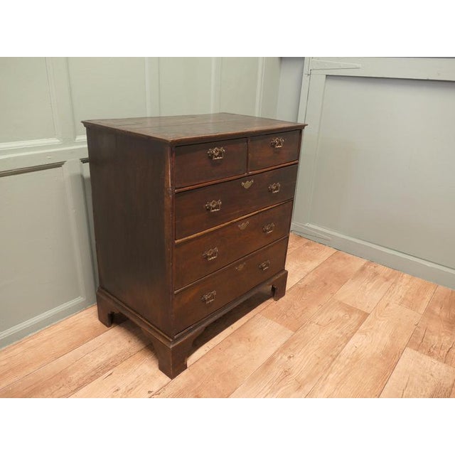 2000 - 2009 18th Century Georgian Oak Chest of Drawers For Sale - Image 5 of 8