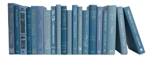 Decorative Books - Marlin Books - Blue Books By The Foot