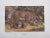 Authentic Antique 19th Century Jungle Cats Lithographs - Set of 3 For Sale - Image 4 of 5