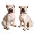 Antique Pair of Staffordshire Pug Dogs For Sale