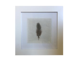 Original Guinea Feather on Linen Framed Art For Sale