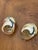 Fabulous Pair Gold Brown Turbo Shells Specimens For Sale - Image 4 of 4