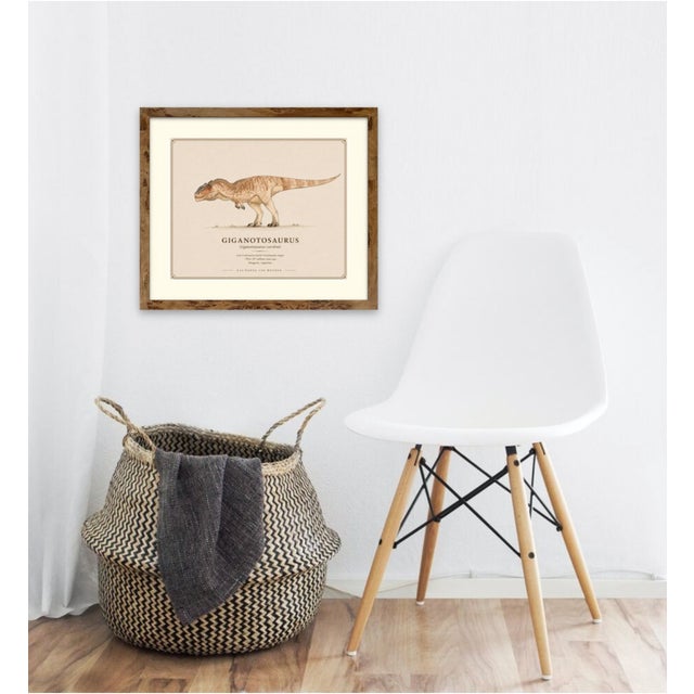 Atelier Aria Lumae Kai Hanna Van Wouden Giganotosaurus Carolinii Original Scientific Watercolor Fine Art Cotton Rag Gallery Board Print 20 X 16 For Sale - Image 11 of 15