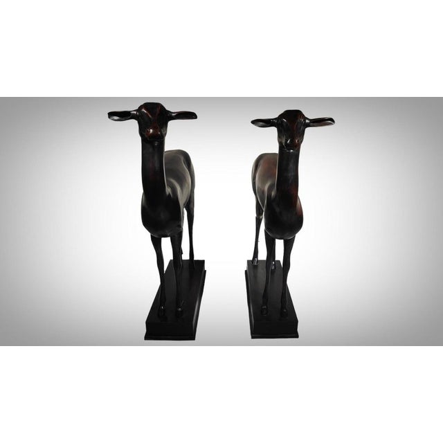Chiurazzi, Pompeian Deer from Herculaneum, 1930, Bronzes, Set of 2 For Sale - Image 11 of 14