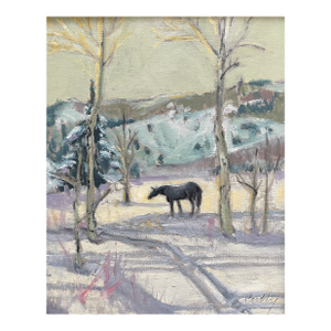 Contemporary Late Afternoon Winter Scene With Horse