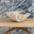 Mid-Century Modern Midcentury Swiss Willy Guhl Clam Shell Planter For Sale - Image 3 of 8