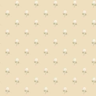 Anemone By Boråstapeter Wallcovering In Wheat For Sale