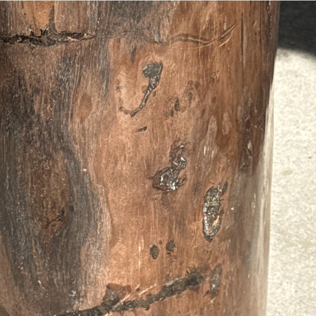 Brutalist Side Table in Brown Petrified Wood, 1980s For Sale - Image 3 of 18