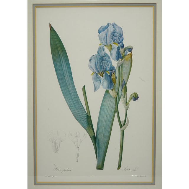 Set of 3 Floral Engraving Prints For Sale - Image 4 of 12