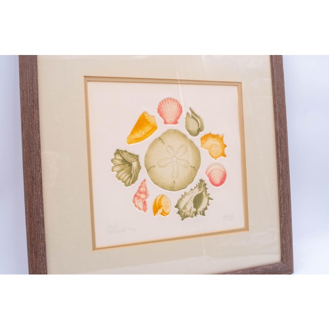 Pair of Framed Signed & Numbered Art Study Nautical Shells Fish Drawings Pamela Sinkler For Sale - Image 16 of 17