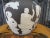 Antique Wedgwood Black Jasperware 10" Portland Vase Peleus & Thetis Phrygian Cap For Sale - Image 16 of 18