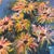 1980s Vintage Abstract Floral Oil Painting by Mary Solbrig For Sale - Image 5 of 11