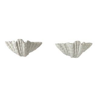Vintage Plaster Seashell Wall Sconces attributed to S. Roche, France, 1920s, Set of 2 For Sale