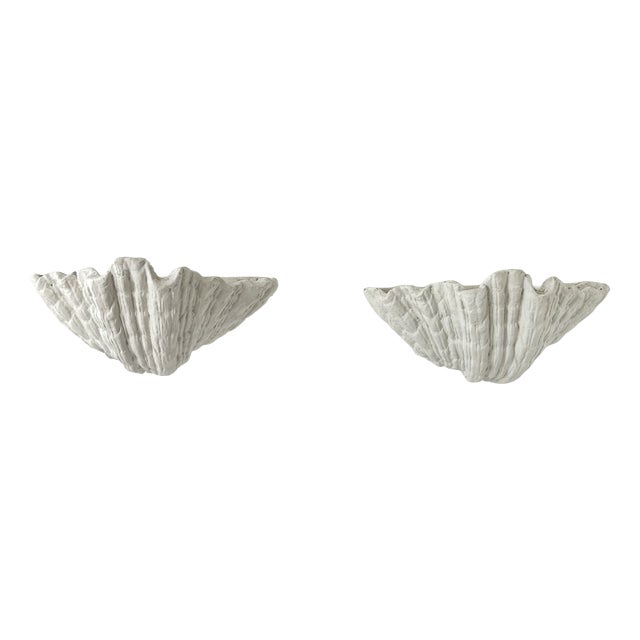 Vintage Plaster Seashell Wall Sconces attributed to S. Roche, France, 1920s, Set of 2 For Sale