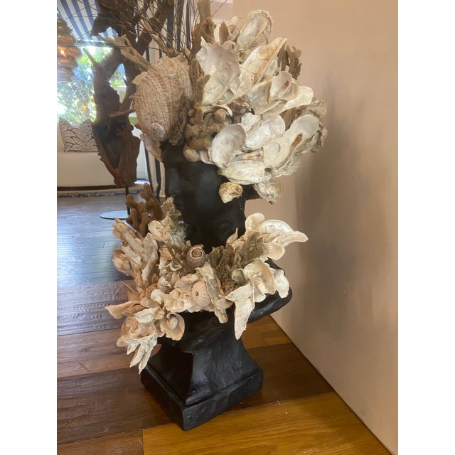 Shell Encrusted Bust by May River Neptune, Bluffton, Sc For Sale In Savannah - Image 6 of 9
