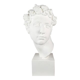 Mid 20th Century Neoclassical Style Plaster Bust of a Young Man For Sale