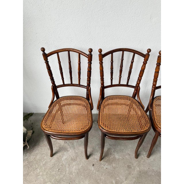 Brown Cane Bistro Chairs from Fischel, 1950s, Set of 4 For Sale - Image 8 of 18