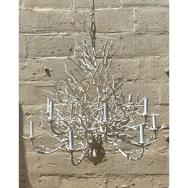 Vintage Coastal Coral Branch Chandelier For Sale In West Palm - Image 6 of 6
