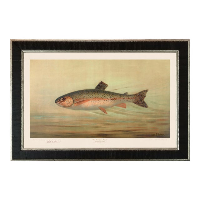 American Fish 10 the Rainbow Trout Framed Giclee Print For Sale
