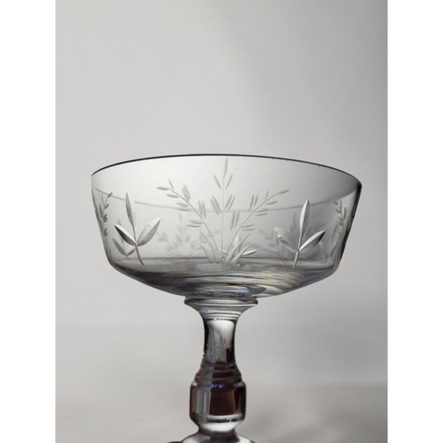 1950s Crystal Champagne Coupes with Engraved Wheat Ears, 1950s, Set of 6 For Sale - Image 5 of 8