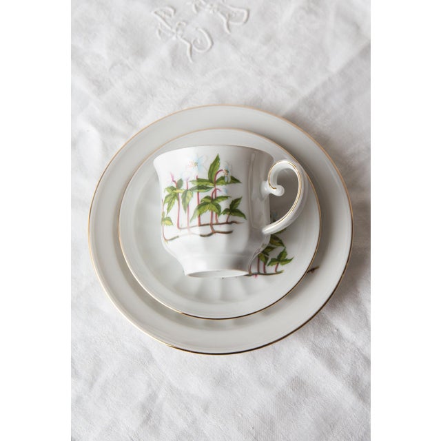 Coffee and Dessert from Tettau, 1976, Set of 28 For Sale - Image 17 of 18
