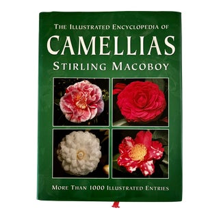 1990s Sterling Macaboy"s "The Illustrated Encyclopedia of Camellias" For Sale