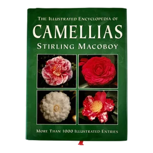 1990s Sterling Macaboy"s "The Illustrated Encyclopedia of Camellias"