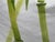 Textile Celerie Kemble for Eastern Accents Bamboo Forest Decorative Pillows, Pair For Sale - Image 7 of 12