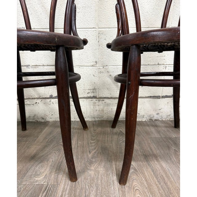 Brown Antique Thonet Style Bentwood Caned Seat Dining Chairs - Set of 4 For Sale - Image 8 of 12