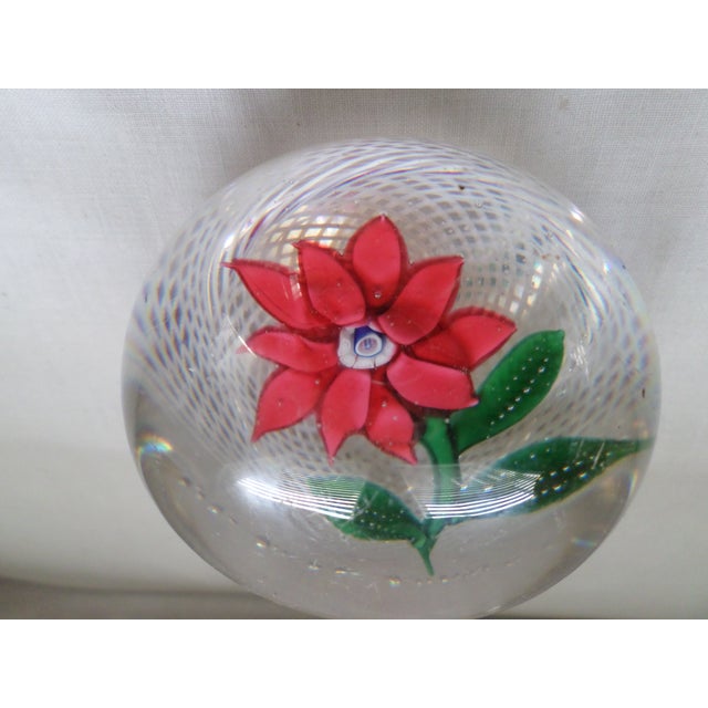 New England Glass Company Antique New England Glass Company Pink Poinsettia Latticinio Paperweight For Sale - Image 4 of 5