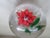 New England Glass Company Antique New England Glass Company Pink Poinsettia Latticinio Paperweight For Sale - Image 4 of 5