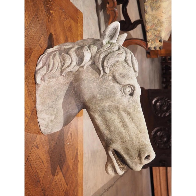 Carved Limestone Horsehead From Italy For Sale - Image 12 of 13