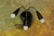 1960s Mid-Century Modern Italian Three-Light Wall Lamp in the style of Stilnovo, 1960s For Sale - Image 5 of 18
