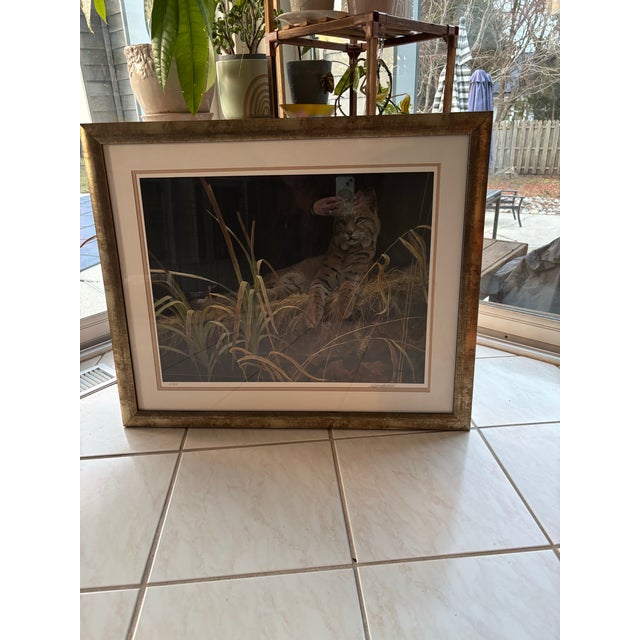 Original limited edition wildlife print by renowned artist Robert Bateman. Features a striking bobcat resting in its...