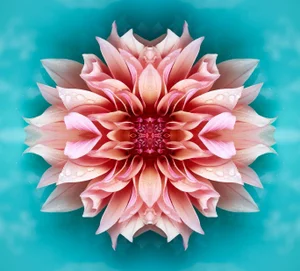 "No. 242" Contemporary Original Op Art Botanical Limited Edition Photograph Print by Erin Derby