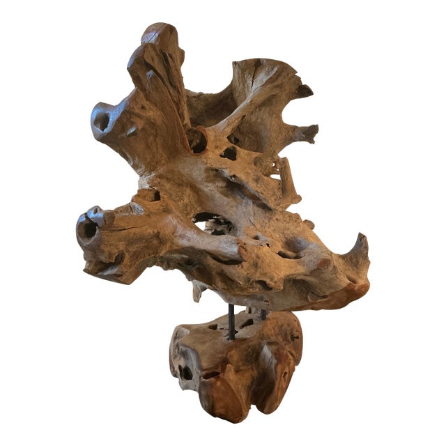 Organic Cyprus Root Sculpture - One of a Kind Statement Piece! For Sale