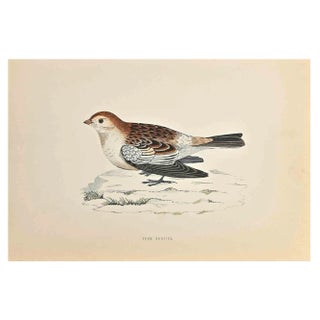 Alexander Francis Lydon, Snow Bunting, Woodcut Print, 1870 For Sale