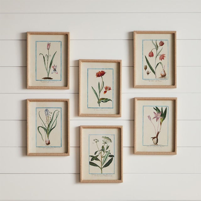 Kenneth Ludwig Chicago Dainty Flora & Fauna Study, Set Of 9 For Sale - Image 4 of 5