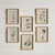 Kenneth Ludwig Chicago Dainty Flora & Fauna Study, Set Of 9 For Sale - Image 4 of 5