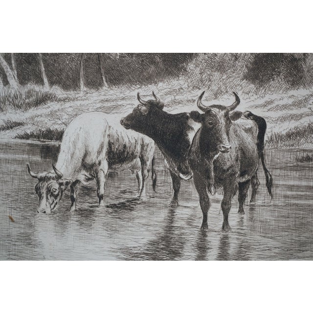 Antique William De La Montagne Cary Signed Bulls Cows Riverscape Etching 29" For Sale - Image 12 of 12