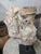 Wood Organic Modern Fossil Scholar Stone For Sale - Image 7 of 8