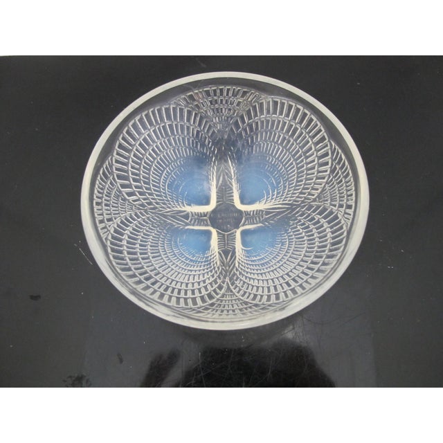 Transparent Rene Lalique France Coquilles Shell Opalescent Art Deco Glass 5 1/4" Bowl For Sale - Image 8 of 11